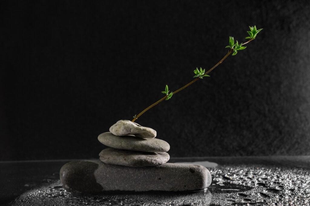 A serene still life of balanced stones and a stem with leaves on a dark, wet surface.