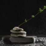 A serene still life of balanced stones and a stem with leaves on a dark, wet surface.